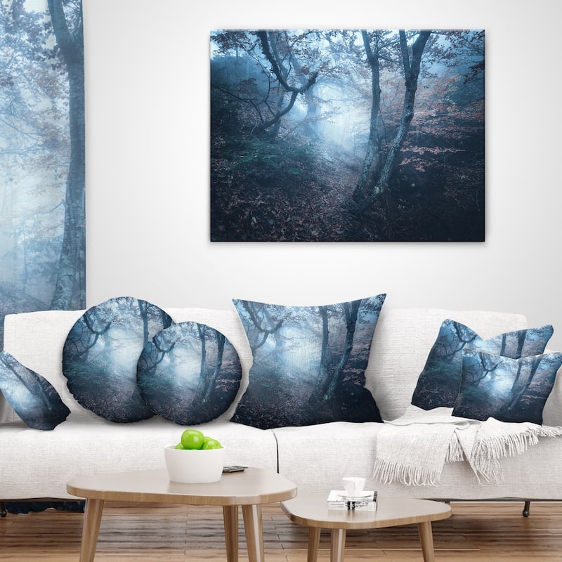 Designart 'Beautiful Autumn in Forest' Landscape Photography Throw ...