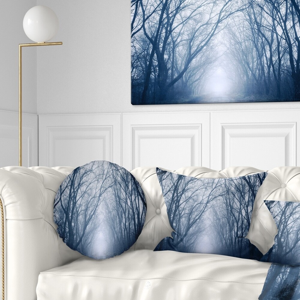 https://ak1.ostkcdn.com/images/products/20945651/Designart-Path-in-Dark-Autumn-Forest-Landscape-Photography-Throw-Pillow-deed3784-a210-4493-b80d-8515d7e50911_1000.jpg