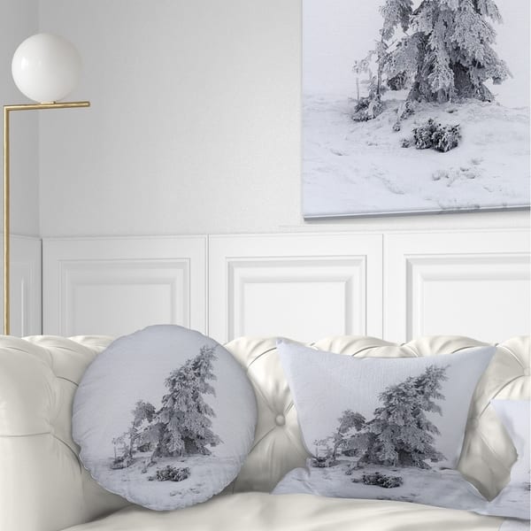 https://ak1.ostkcdn.com/images/products/20946287/Designart-Grayscale-Valley-in-Frost-Landscape-Photo-Throw-Pillow-651851d7-36ea-4f96-a8ec-4991978903aa_600.jpg?impolicy=medium