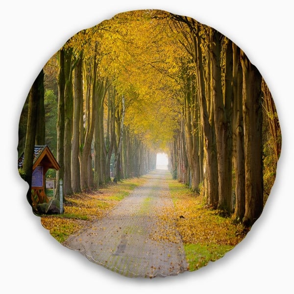 Designart Country Road Below Yellow Trees Landscape Photography Throw Pillow On Sale Overstock 20947165