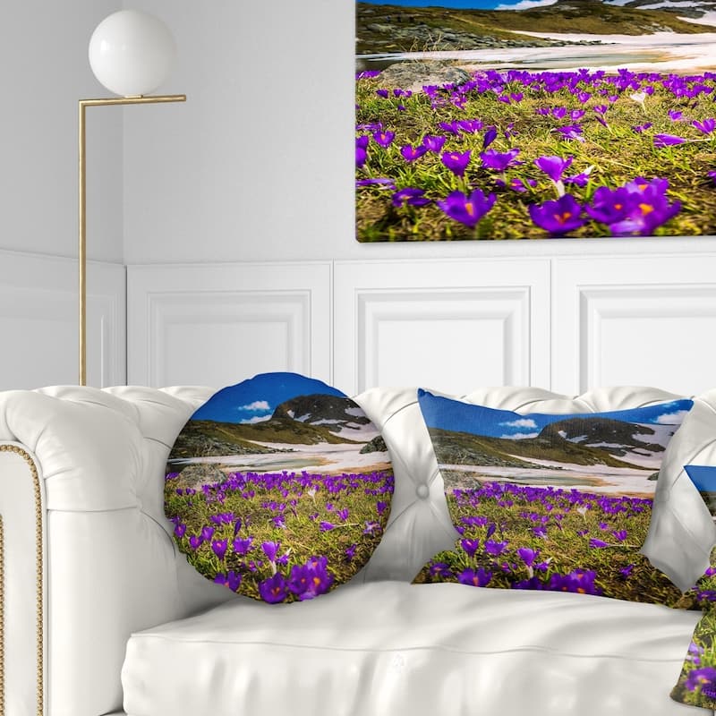 Designart 'Blooming Crocus Flowers in Rila Mountains' Landscape Printed ...