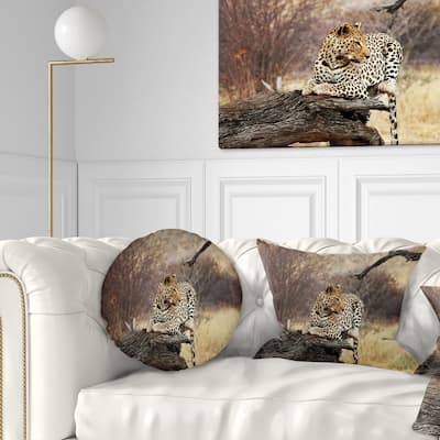 Designart 'Leopard Sitting on Tree Trunk' African Throw Pillow
