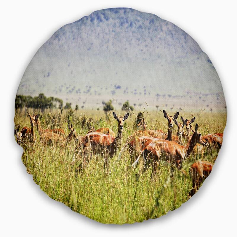 Designart 'Beautiful Antelope in Grass' African Landscape Printed Throw Pillow