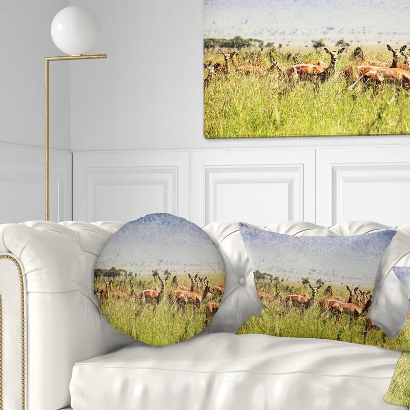 Designart 'Beautiful Antelope in Grass' African Landscape Printed Throw Pillow - Round - 16 inches round - Small