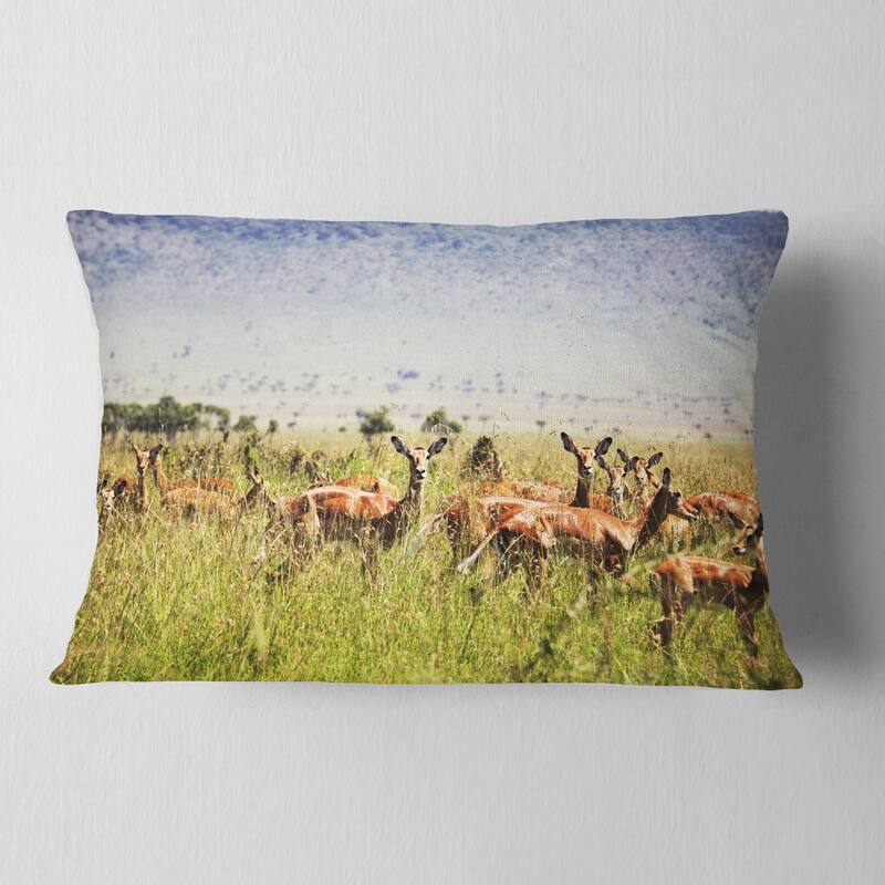 Designart 'Beautiful Antelope in Grass' African Landscape Printed Throw Pillow