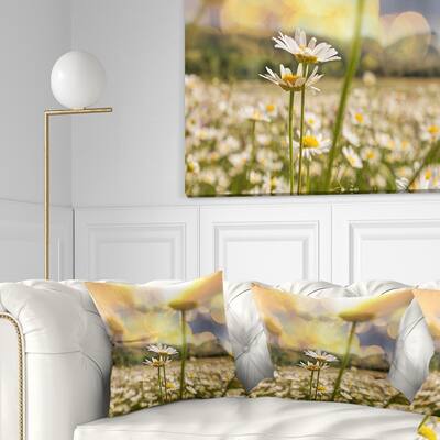 Designart 'Blooming Chamomiles Flowers' Landscape Printed Throw Pillow
