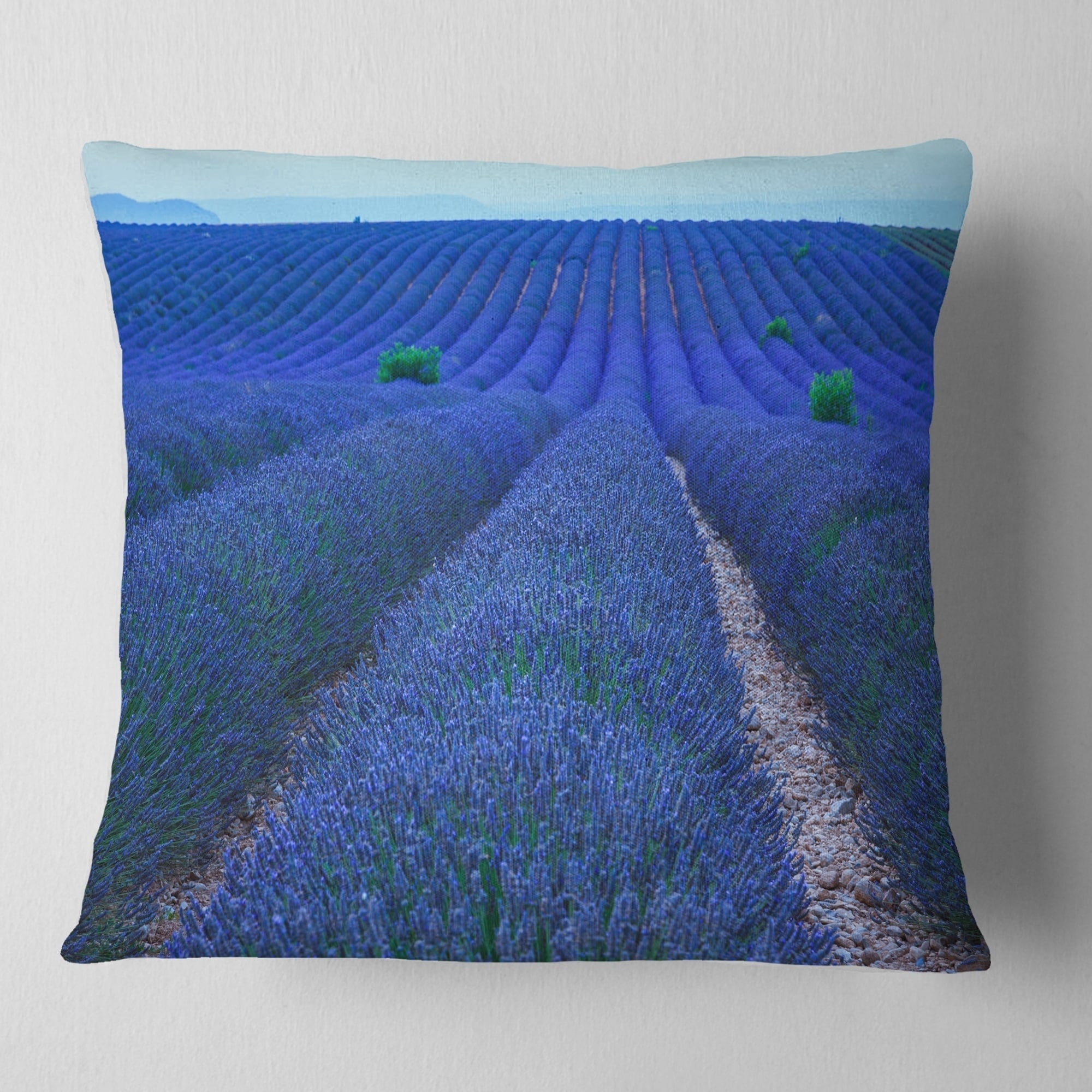 Designart 'Lavender Field Sunset Near Valensole' Floral