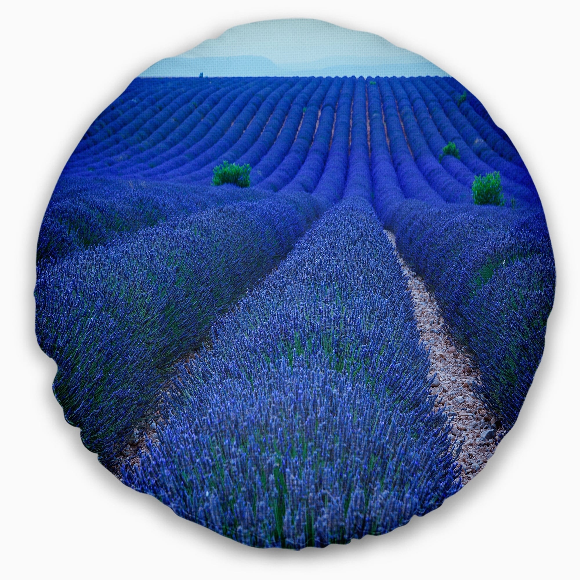 Designart 'Lavender Field Sunset Near Valensole' Floral