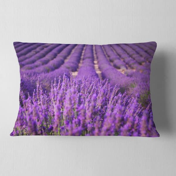 Designart Beautiful Fragrant Lavender Fields Floral Throw Pillow On Sale Overstock 20948989