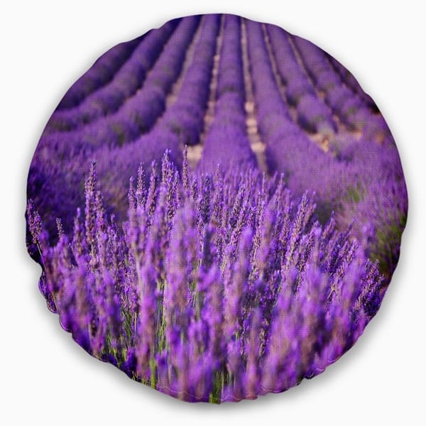 Designart Beautiful Fragrant Lavender Fields Floral Throw Pillow On Sale Overstock 20948989