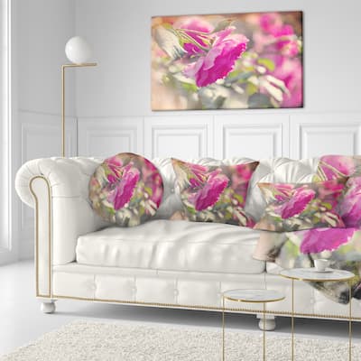 Designart 'Beautiful Pink Rose Flowers' Floral Throw Pillow