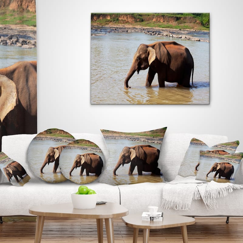 Designart 'elephant In Water In Sri Lanka' African Throw Pillow - Bed 