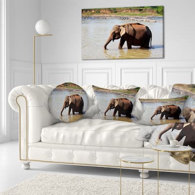 Designart 'Elephant in Water in Sri Lanka' African Throw Pillow