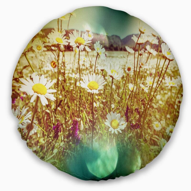 Designart 'Beautiful Blossom Chamomile Flowers' Floral Throw Pillow
