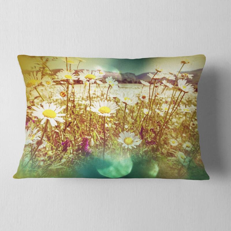 Designart 'Beautiful Blossom Chamomile Flowers' Floral Throw Pillow