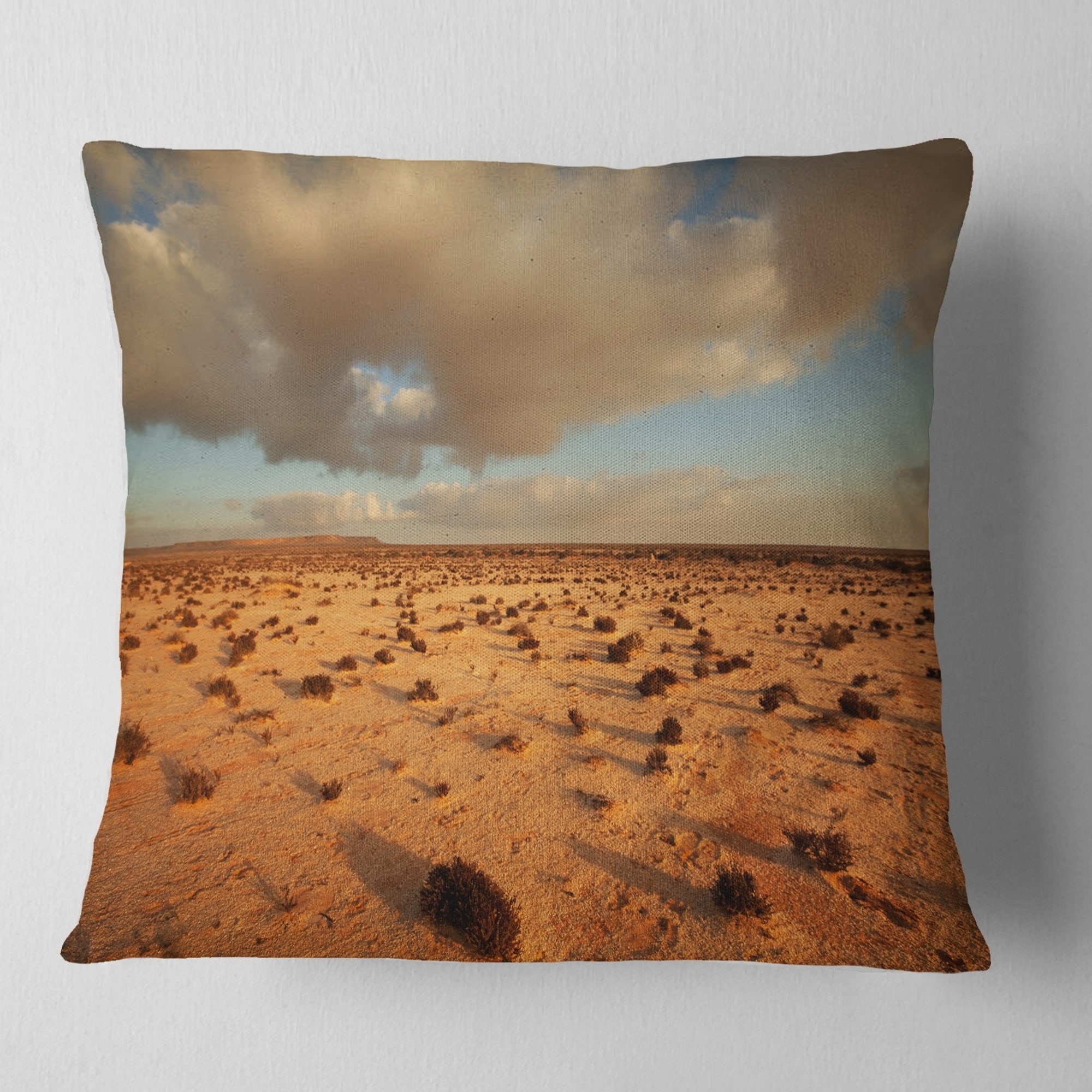 Desert shop throw pillows