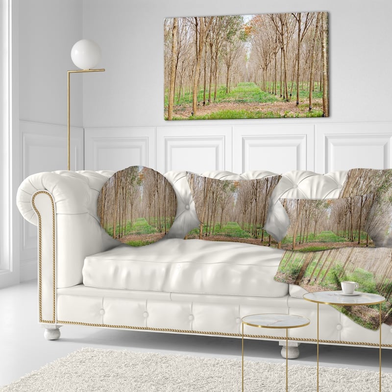 Designart 'Beautiful Rubber Plantation Photo' Modern Forest Throw Pillow
