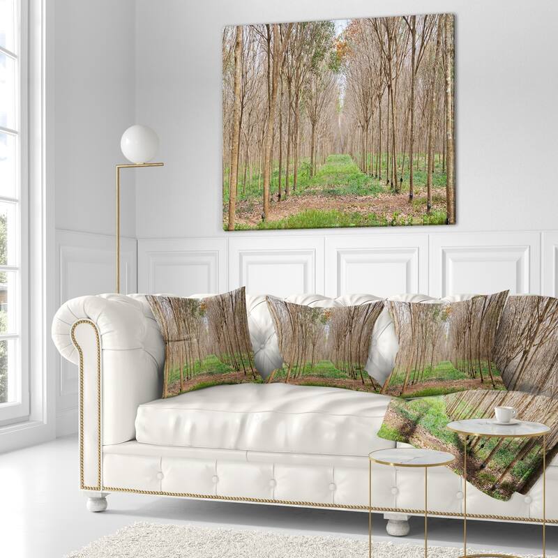 Designart 'Beautiful Rubber Plantation Photo' Modern Forest Throw Pillow