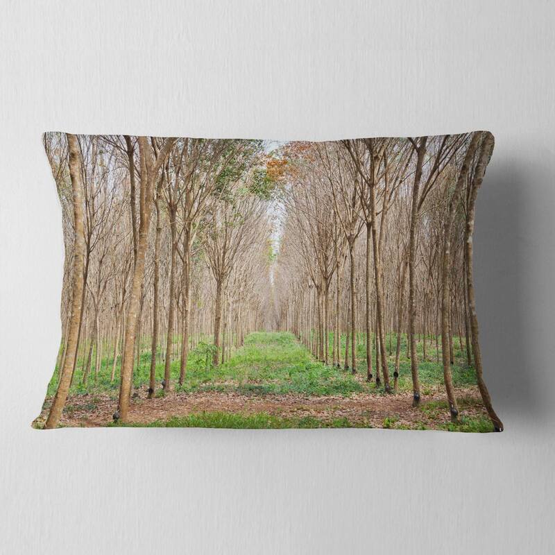 Designart 'Beautiful Rubber Plantation Photo' Modern Forest Throw Pillow