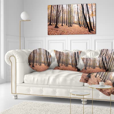 Designart 'Bright Fall Forest with Clear Sky' Modern Forest Throw Pillow