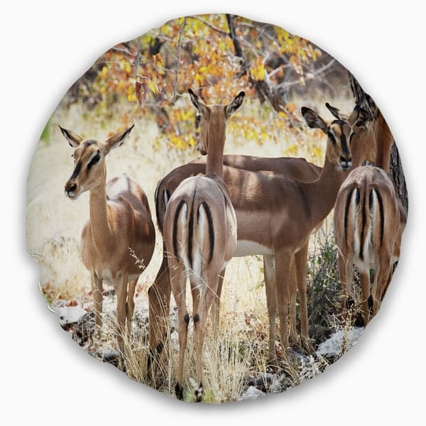 Designart Beautiful Herd Of Antelope Gnu African Throw Pillow On Sale Overstock 20949737