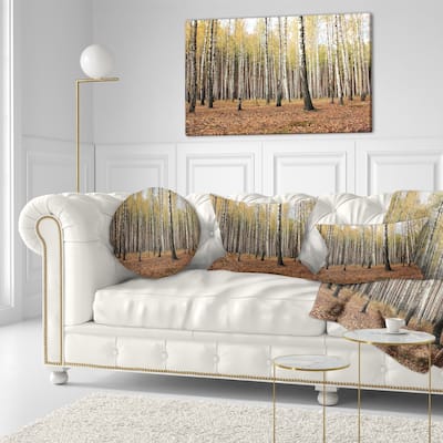Designart 'Beautiful Birch Forest Photography' Modern Forest Throw Pillow