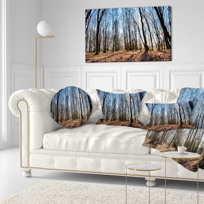 Designart 'Dark Trees in Forest at Sunrise' Forest Throw Pillow