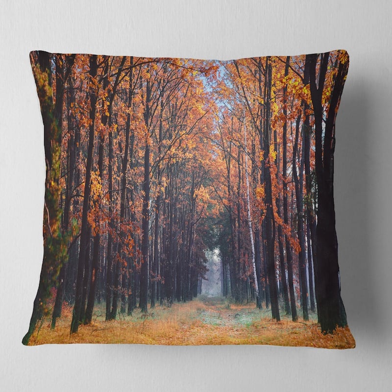 Designart 'Alley in the Dense Autumn Forest' Forest Throw Pillow - Square - 16 in. x 16 in. - Small