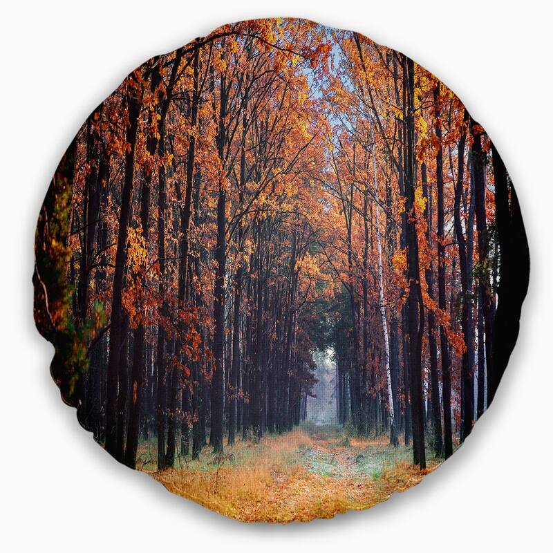 Designart 'Alley in the Dense Autumn Forest' Forest Throw Pillow