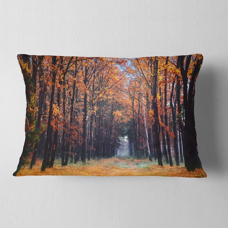 Designart 'Alley in the Dense Autumn Forest' Forest Throw Pillow