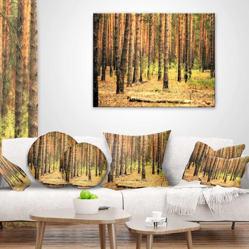 Designart 'Beautiful Pine Forest at Sunset' Modern Forest Throw Pillow