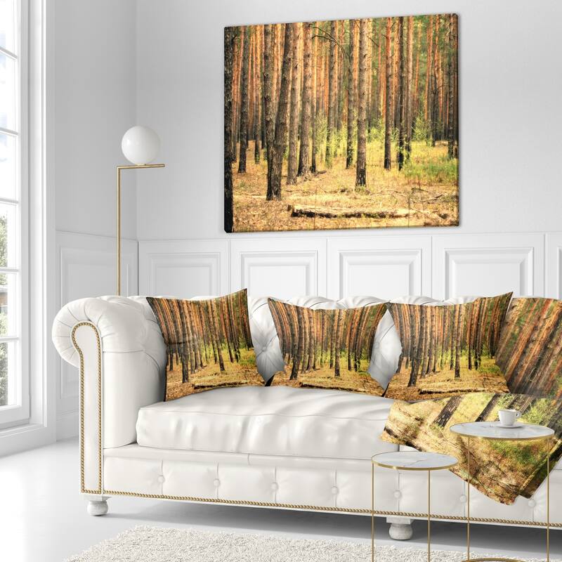 Designart 'Beautiful Pine Forest at Sunset' Modern Forest Throw Pillow