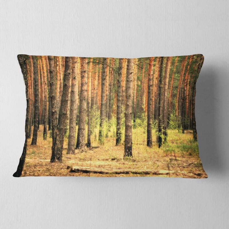 Designart 'Beautiful Pine Forest at Sunset' Modern Forest Throw Pillow