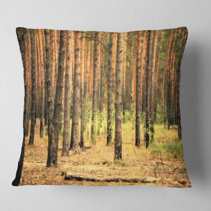 Designart 'Beautiful Pine Forest at Sunset' Modern Forest Throw Pillow - Square - 18 in. x 18 in. - Medium