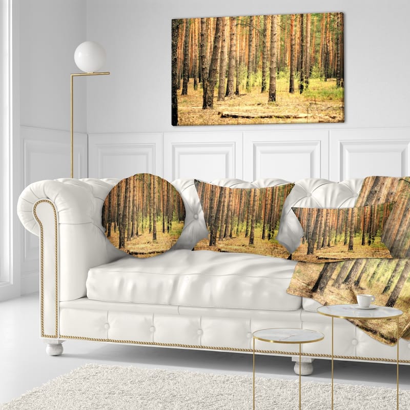 Designart 'Beautiful Pine Forest at Sunset' Modern Forest Throw Pillow