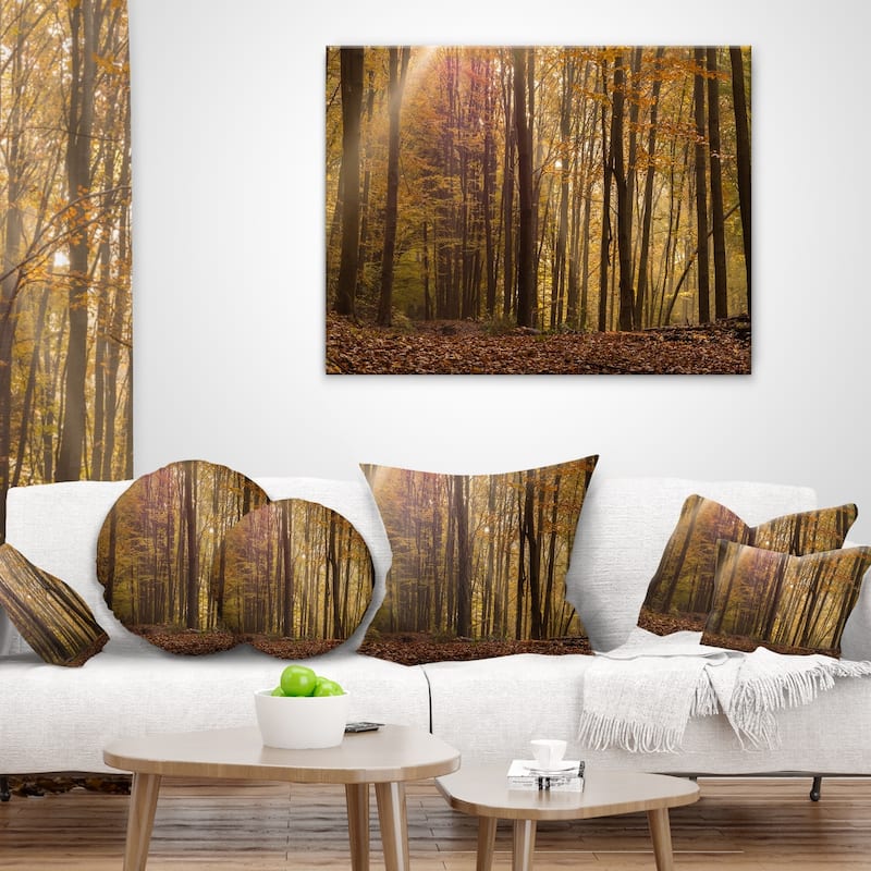 Designart 'Dense Forest in Rays of Rising Sun' Forest Throw Pillow
