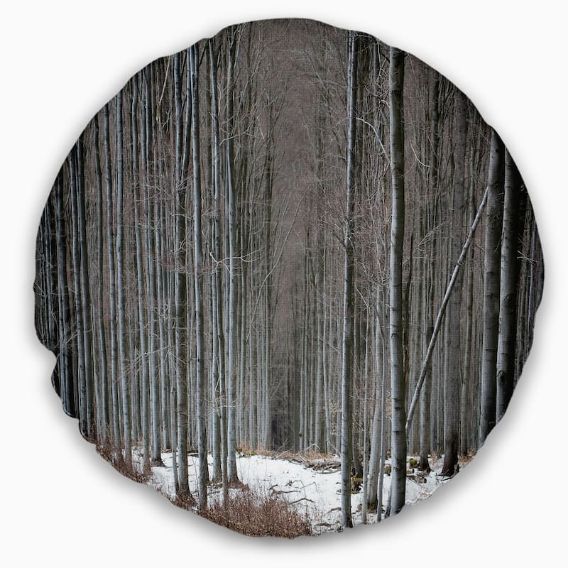 Designart 'Winter Forest with Thick Trees' Forest Throw Pillow