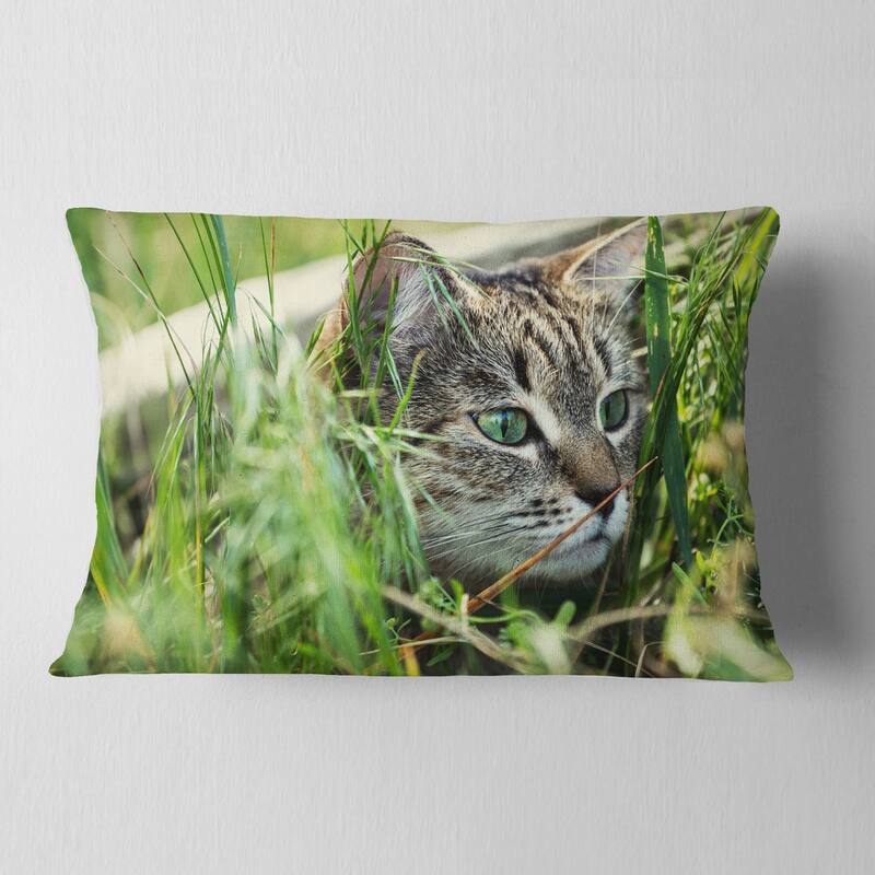 Designart 'Lovely Kitten in Grass' Animal Throw Pillow
