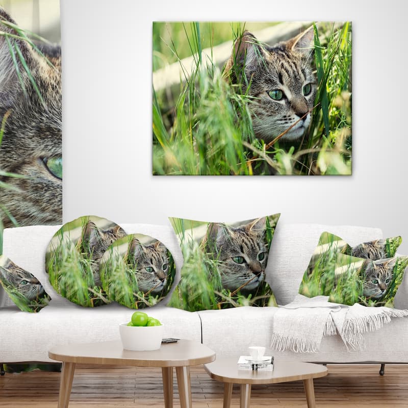 Designart 'Lovely Kitten in Grass' Animal Throw Pillow
