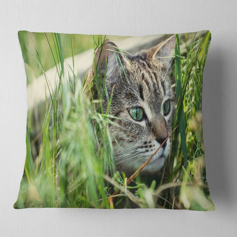Designart 'Lovely Kitten in Grass' Animal Throw Pillow - Square - 16 in. x 16 in. - Small