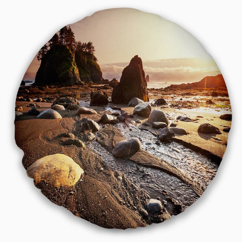 Designart 'Olympic National Park Coast' Seashore Throw Pillow