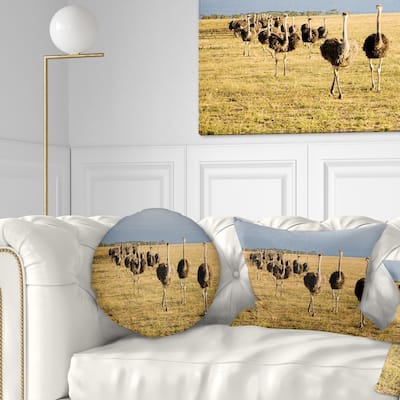 Designart 'Ostriches Walking in South Africa' African Throw Pillow