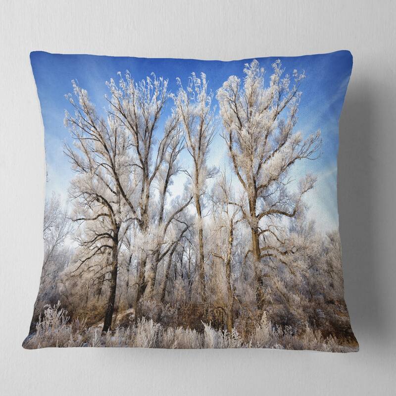 Designart 'Beautiful Winter Evening View' Landscape Printed Throw Pillow - Square - 18 in. x 18 in. - Medium