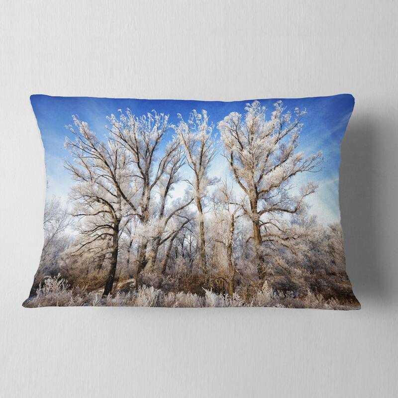 Designart 'Beautiful Winter Evening View' Landscape Printed Throw Pillow