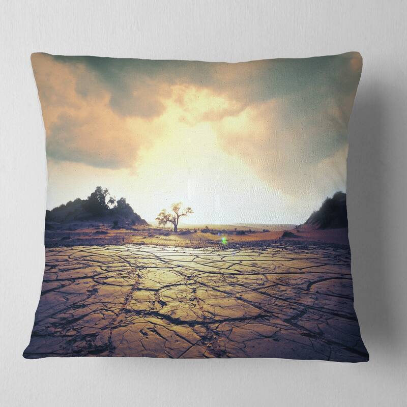 Designart 'Cracked Drought Land with Sunshine' Landscape Printed Throw Pillow - Square - 18 in. x 18 in. - Medium