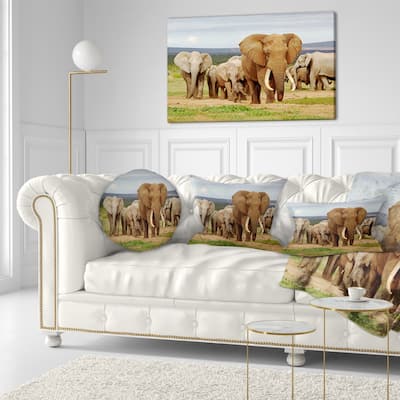 Designart 'Large Elephant Herd in Africa' African Throw Pillow