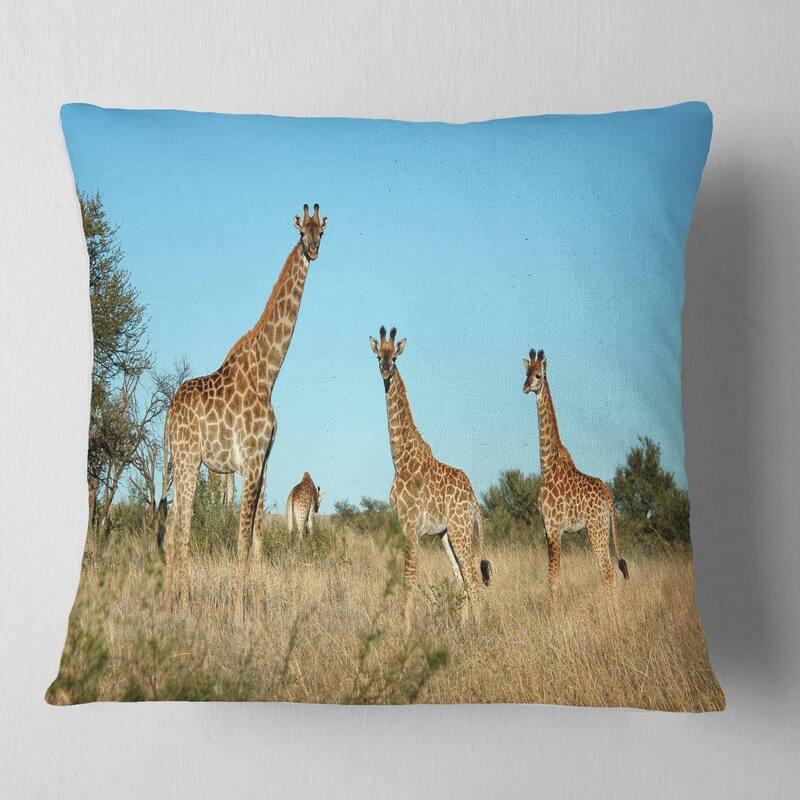 Designart 'Giraffe Family in Africa' African Throw Pillow - Square - 18 in. x 18 in. - Medium