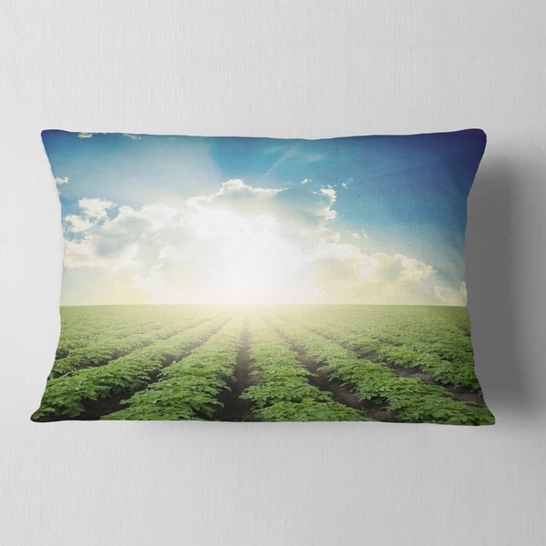 Designart Beautiful Potato Field At Sunset Landscape Printed Throw Pillow On Sale Overstock 20950263