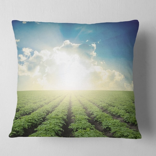 Designart Beautiful Potato Field At Sunset Landscape Printed Throw Pillow On Sale Overstock 20950263