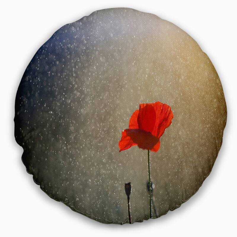 Designart 'Lone Red Puppy Flower under Lights' Flowers Throw Pillowwork